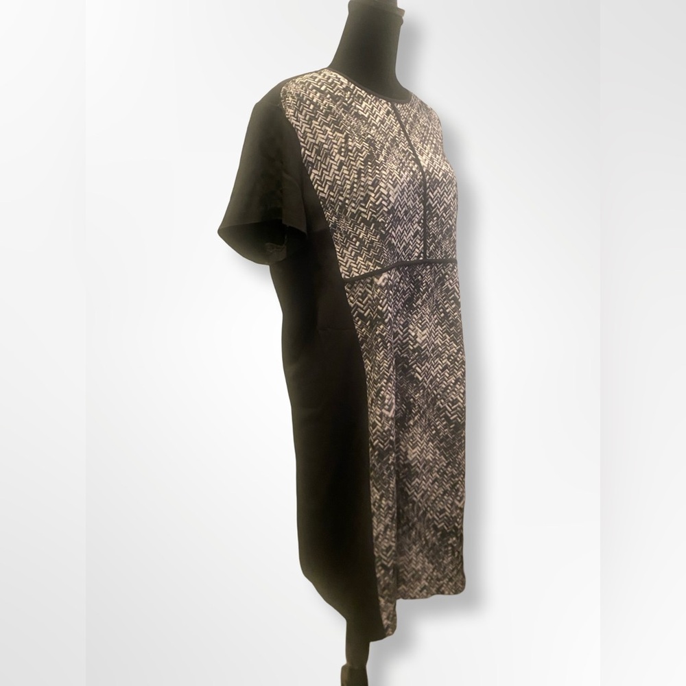 Narcissco Rodriguez Dress